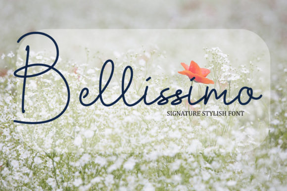 Bellissimo: A Timeless Script Font for Modern Editorial Design