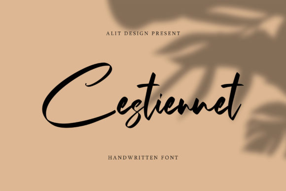The Cestiennet: A Stylish Font for Branding That Stands Out